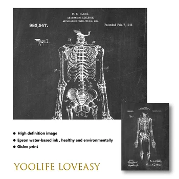 Anatomia omului Schelet de Perete de Arta Canvas Tablou de Epocă Postere si Printuri Student la Medicină Educație Cadou Medicii Decor de Birou