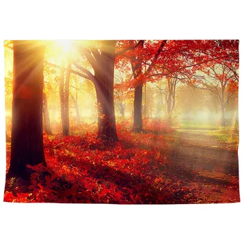 Allenjoy fotografii fundaluri toamna frunze de arțar ramură de copac lumina soarelui în aer liber, natură, pădure, peisaj imagini de fundal de Fundal