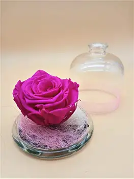 Veșnică Trandafir conservate fuchsia. Gratuit de transport maritim. Cupola de cristal cu fuchsia Veșnică a Crescut. Fabricat in Spania